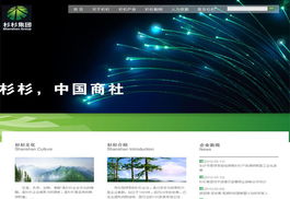 龍泉電腦綜合服務(wù) 網(wǎng)站開發(fā)、維修與數(shù)據(jù)安全保障